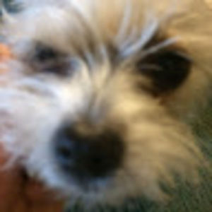 Meet your Posher, Randa